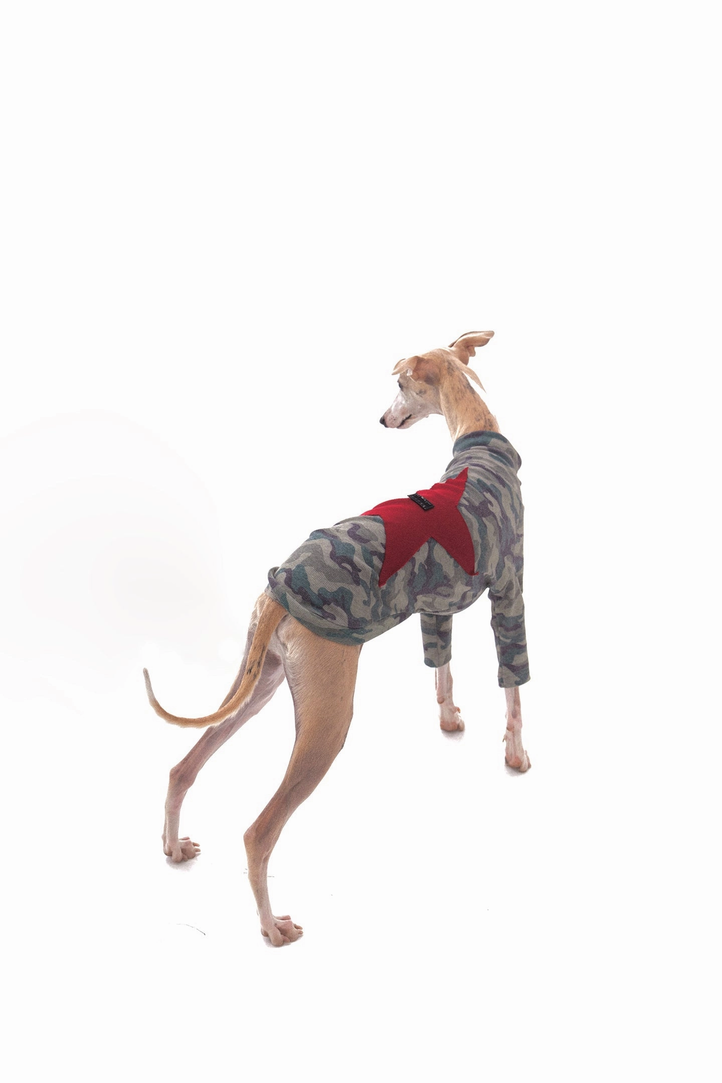 Star Camouflage Dog Jacket