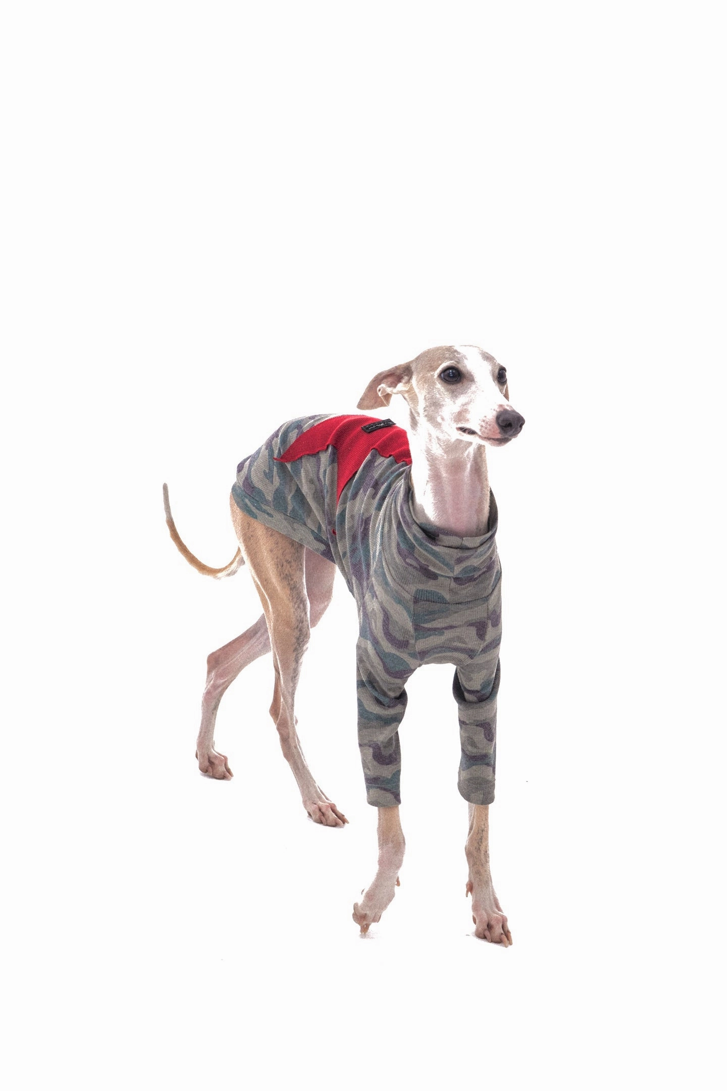 Star Camouflage Dog Jacket