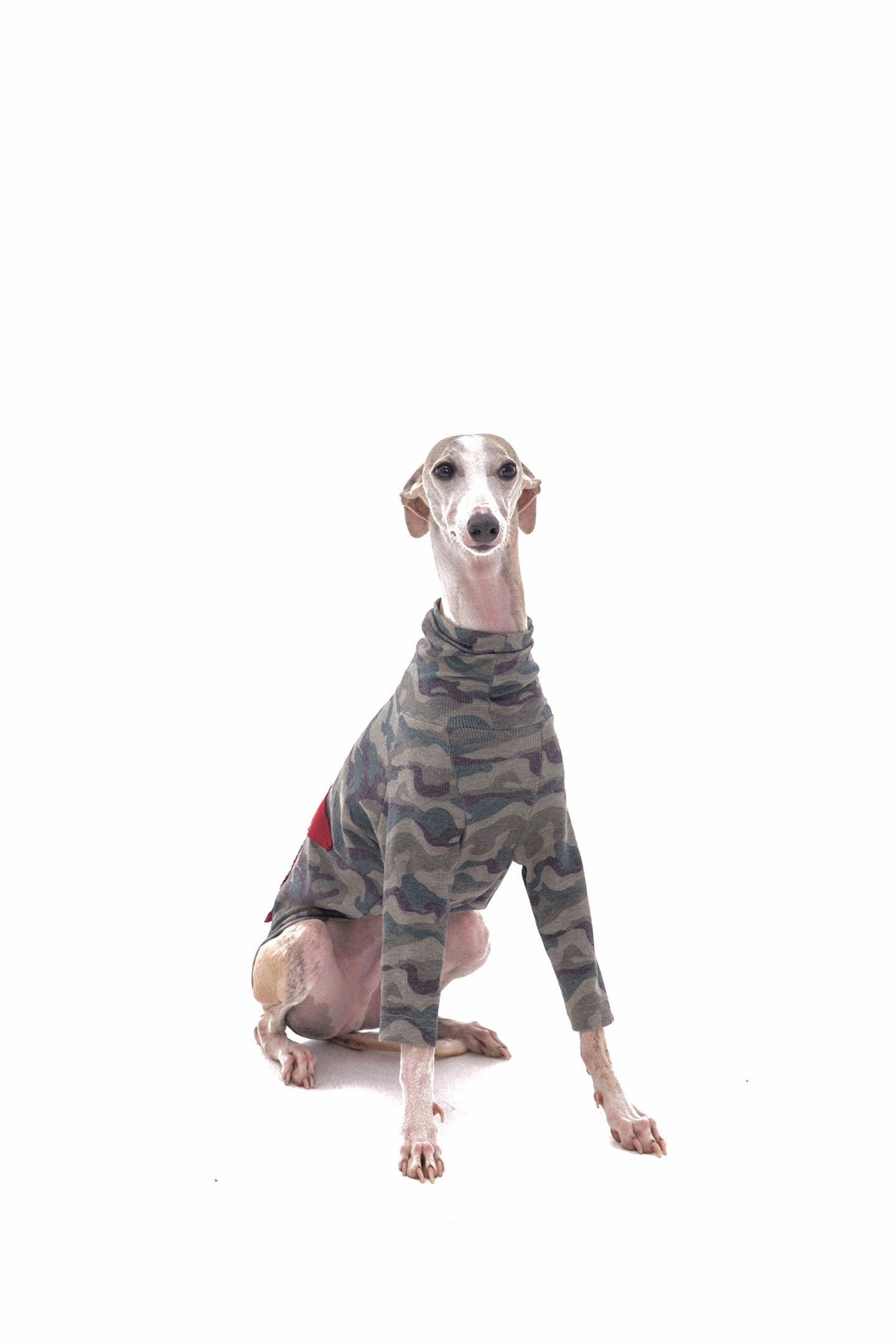 Star Camouflage Dog Jacket