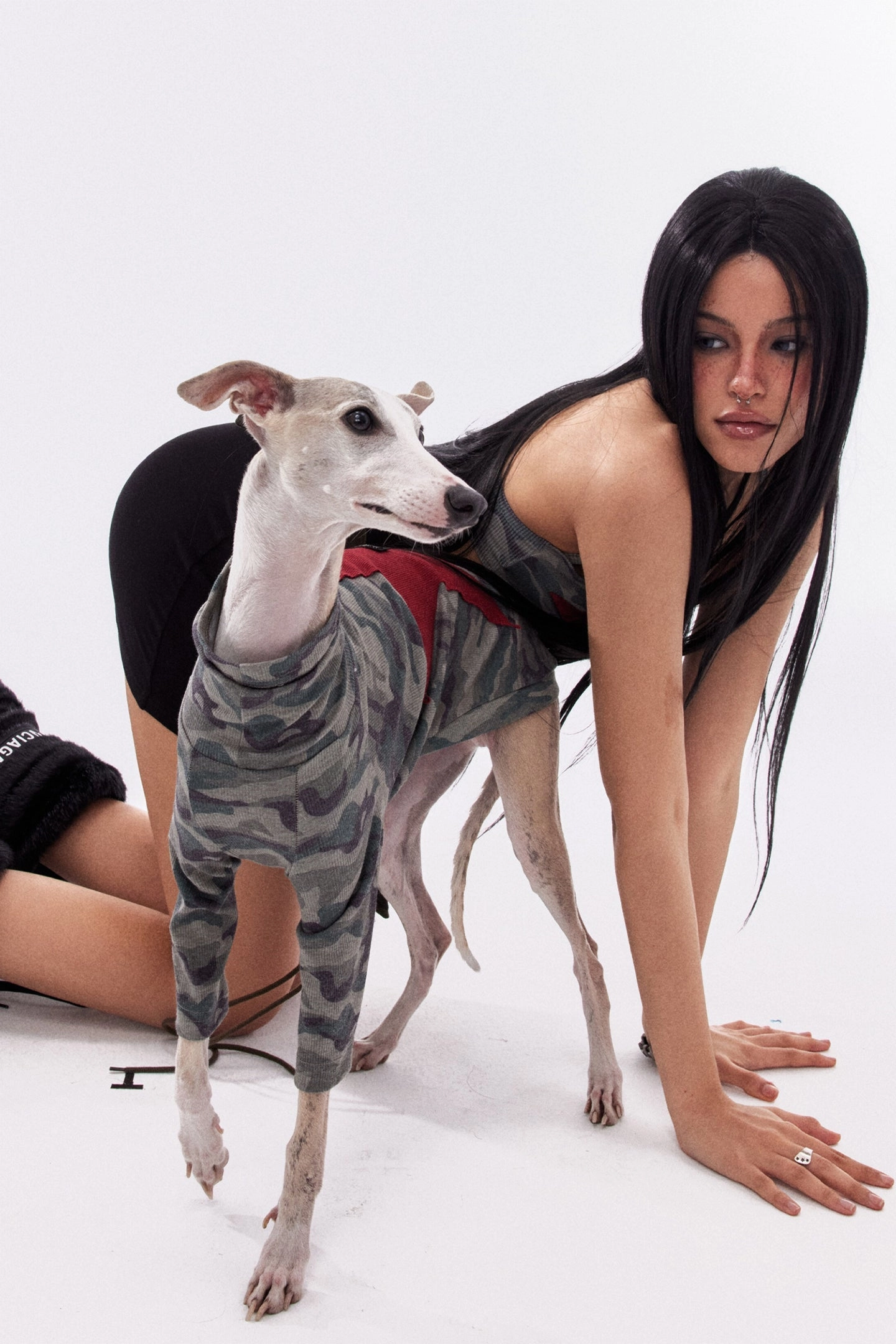 Star Camouflage Dog Jacket